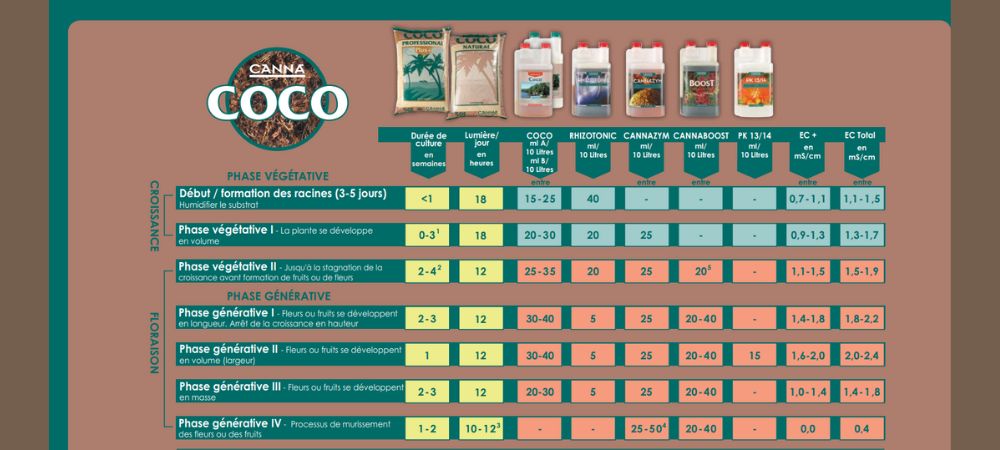 Tableau Canna Coco