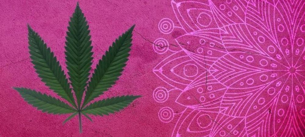 leyenda de la marihuana triposa Marihuana Triposa