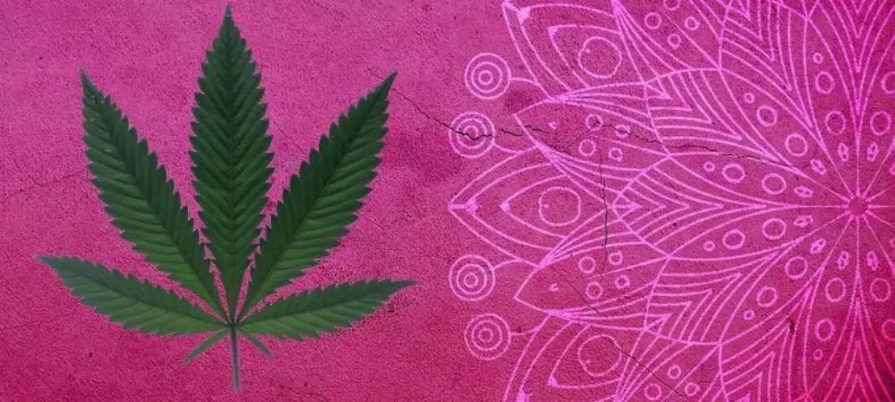 leyenda de la marihuana triposa psychedelische Cannabis