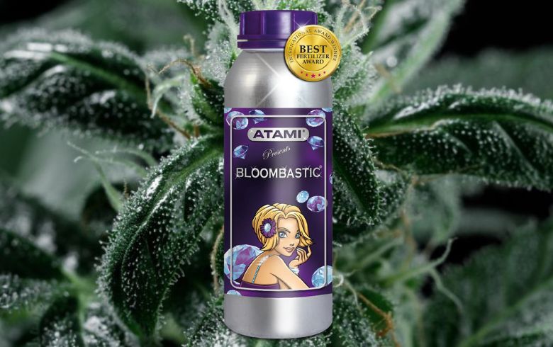 How to use Bloombastic