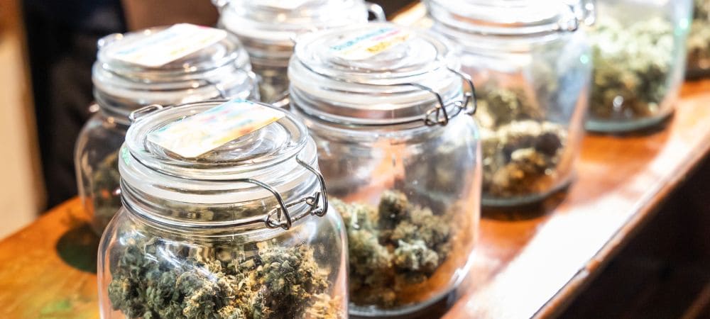 Marijuana californiana