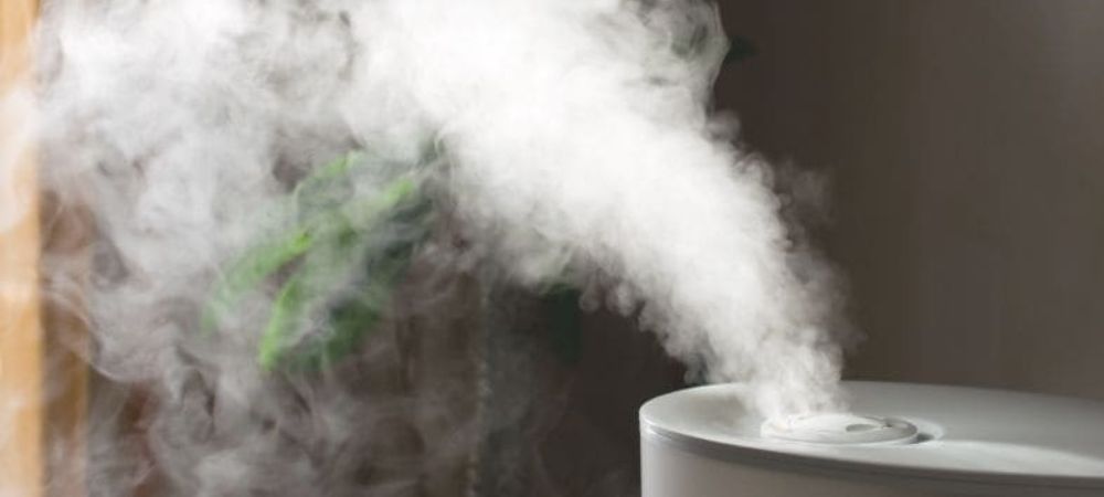 humidificador planta hidratar cogollos