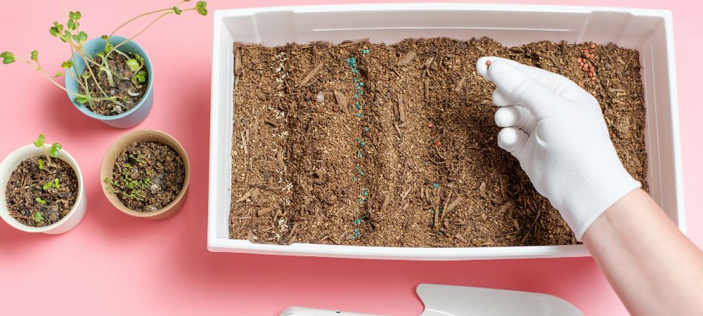 Substrat : différence terreau et paillage