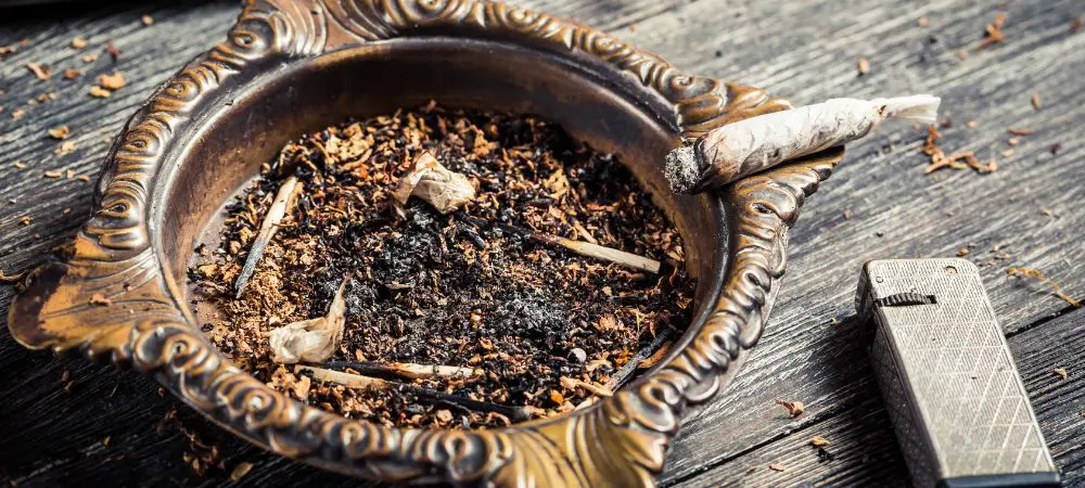 is cigarette ash good for plants Is ash good for plants? What gardeners need to know