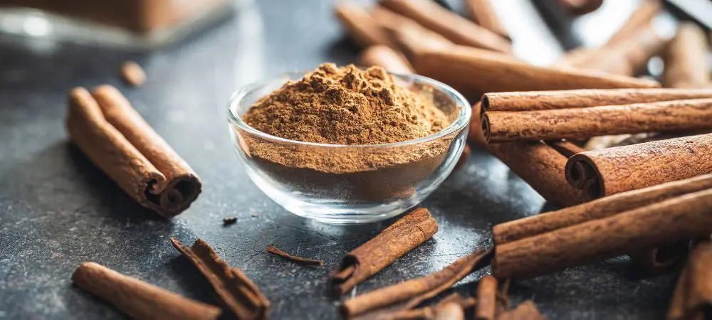 Cannella in polvere per trattamenti domestici contro l'oidio