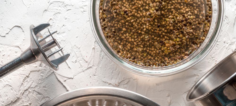 Come preparare il latte di canapa