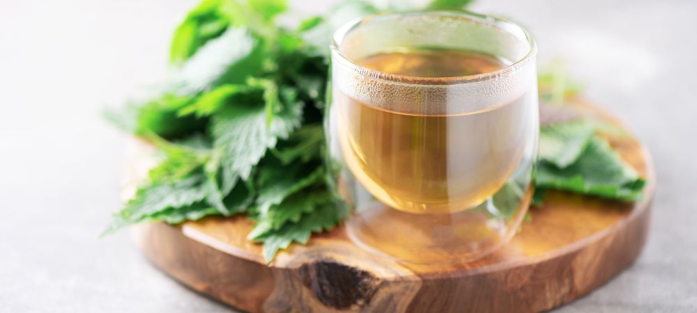Chá de ortiga: uso como adubo caseiro para plantas