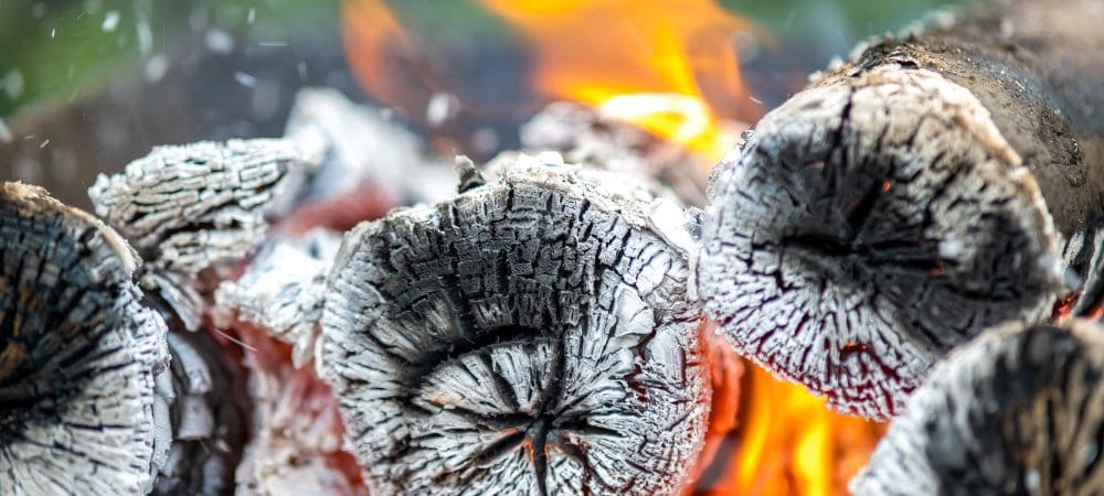 fertilizante con ceniza