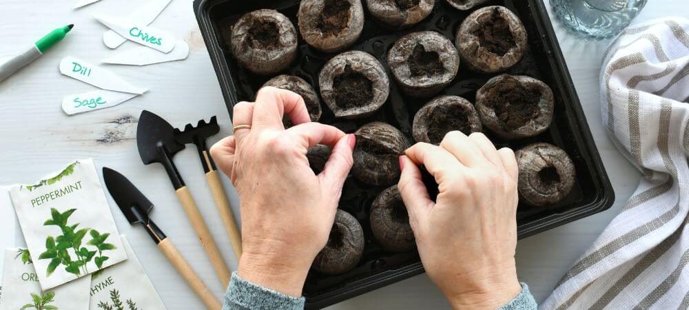 difference between peat and substrate