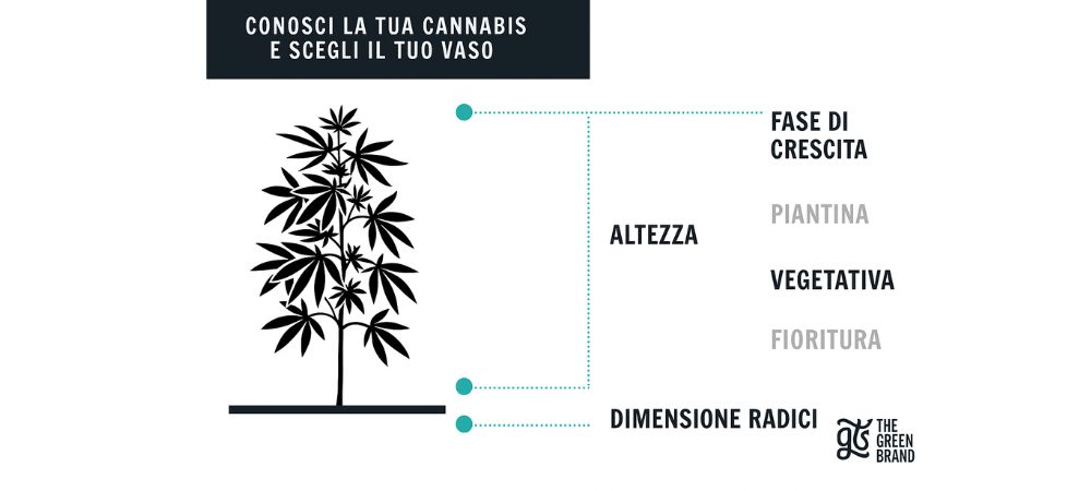 Tabella dimensioni vasi