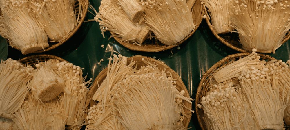 Enoki 