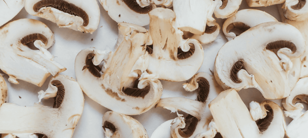 Champignon Speisepilz