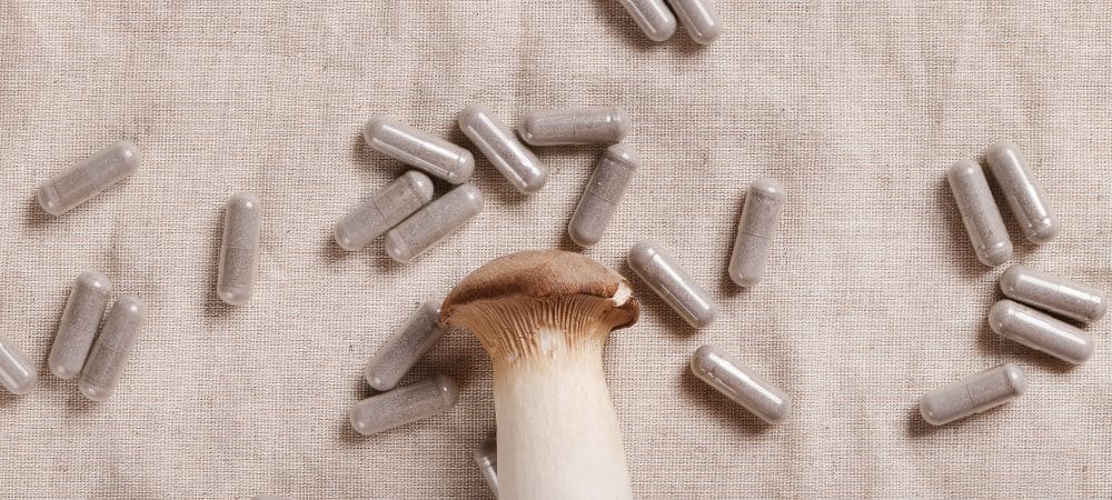 psilocybin-microdosing