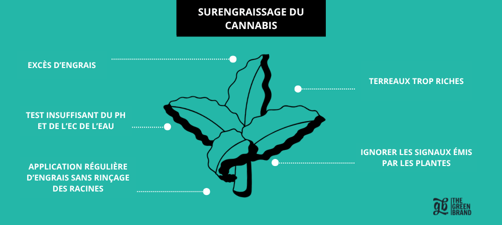 feuille qui se courbe vers le bas