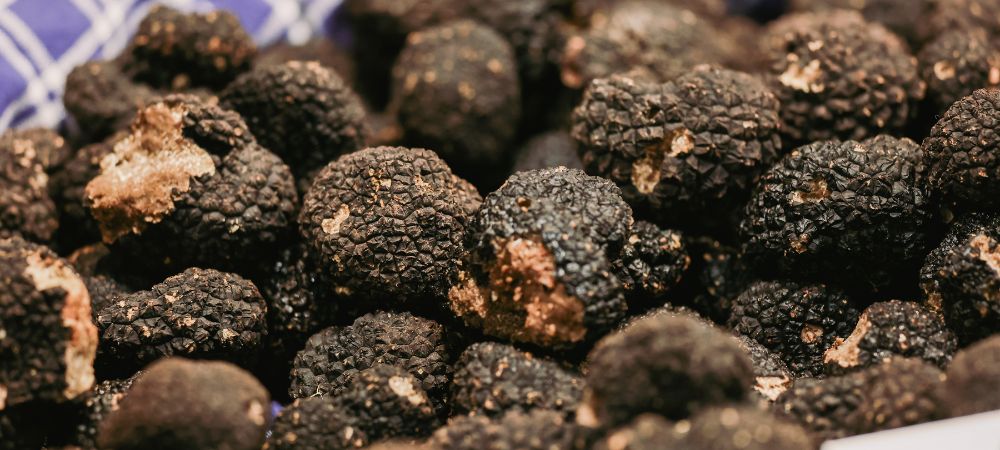 magic truffles