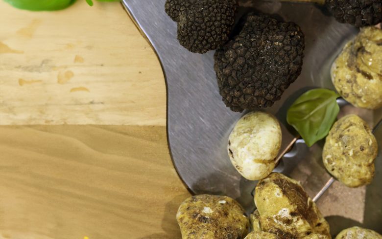 Noticias Cannábicas