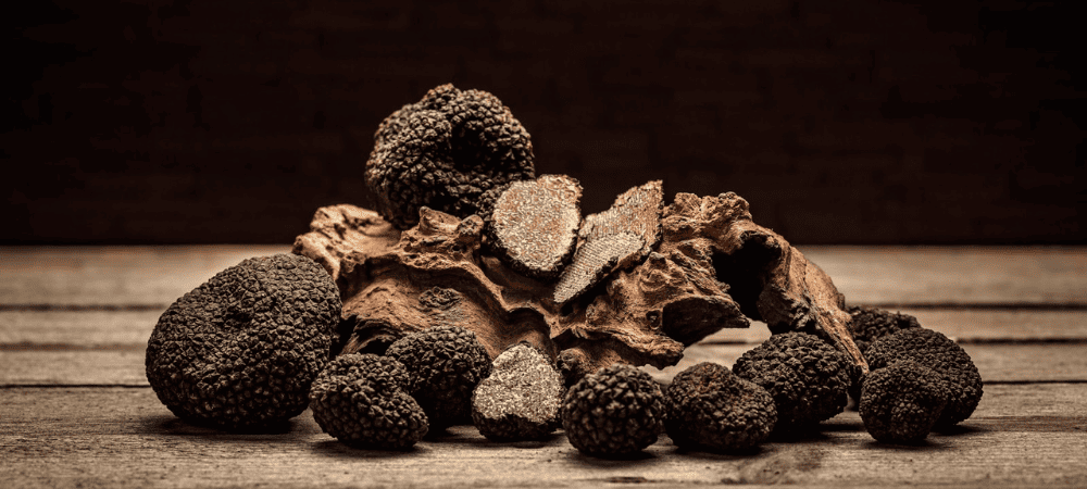 Risques sanitaires truffes magiques
