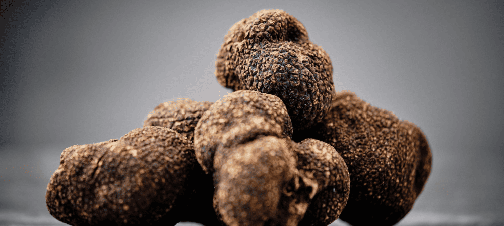 truffe magique en France
