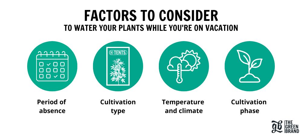 factors to water plants while on vacation