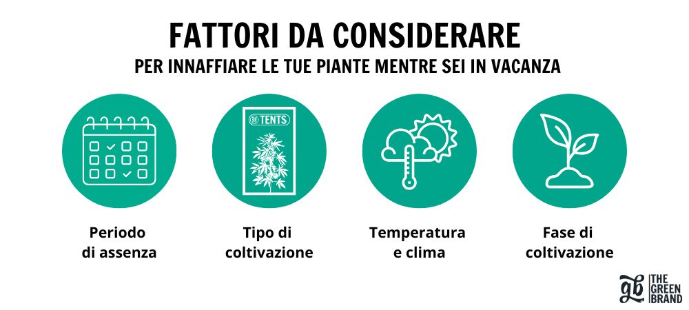 fattori innaffiare le piante durante le vacanze