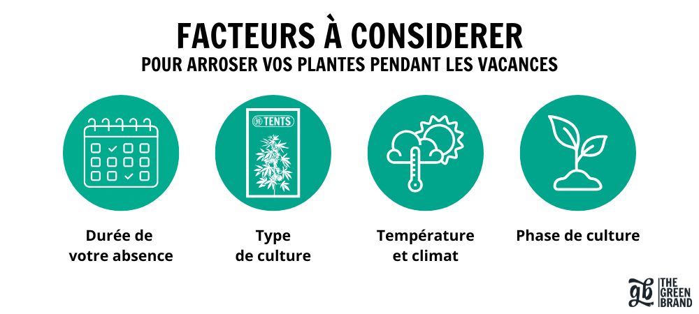 Facteurs pour arroser des plantes en vacances