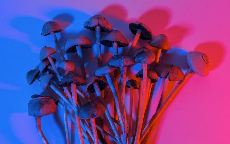 las setas alucinógenas más potentes del mundo