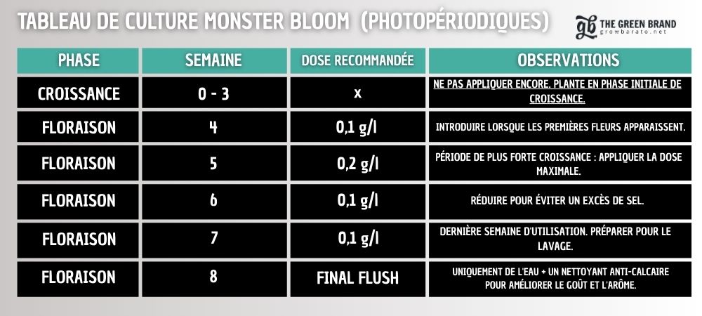 MONSTER BLOOM AUTOFLORAISON