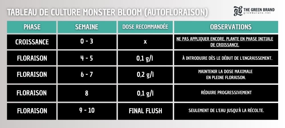TABLEAU DE CULTURE MONSTER BLOOM