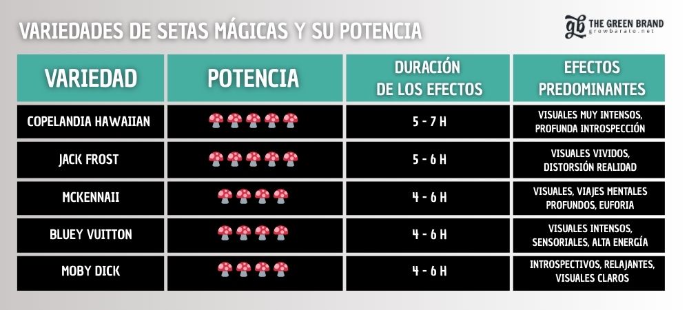 Tabla de las setas alucinógenas más potentes
