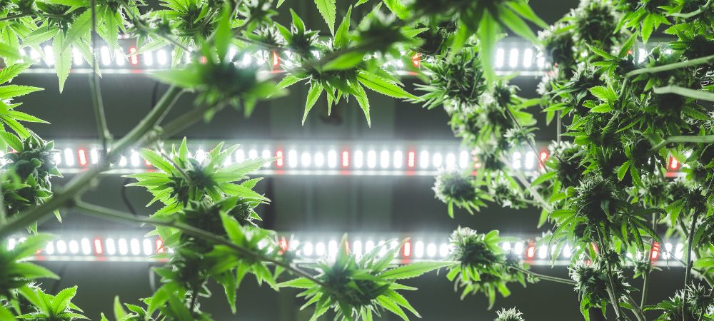 lâmpadas led interior