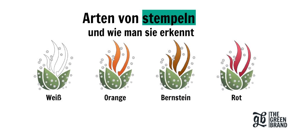 Stempel in Marihuana
