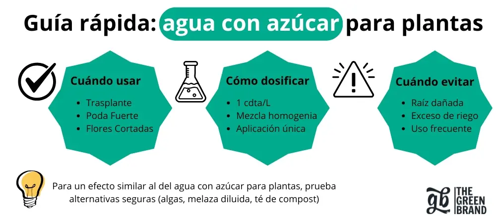 Infografía sobre el uso de agua con azúcar en plantas: cuándo aplicarla, dosis recomendada y situaciones en las que debe evitarse.