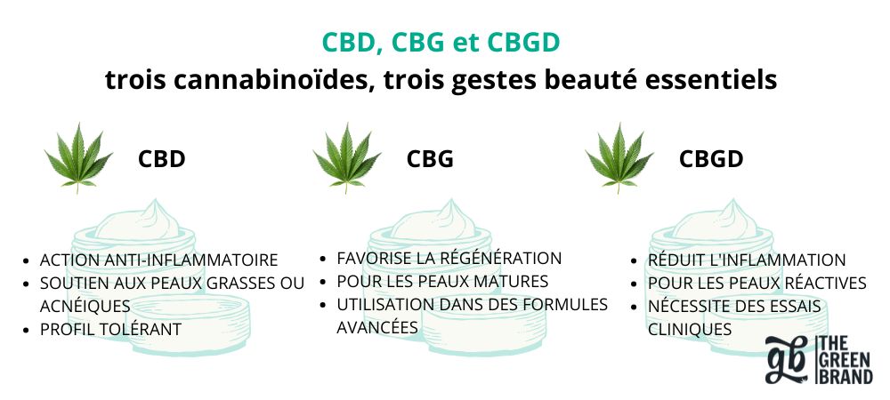 Infographie comparative entre les cannabinoïdes CBD, CBG et CBGD et leurs principaux bienfaits cosmétiques selon les types de peau.