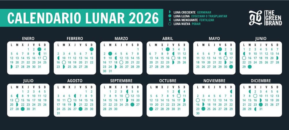Calendario lunar de marihuana 2026 que muestra los procesos de cultivo dentro de las fases lunares