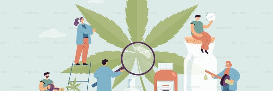 Cannabis and multiple sclerosis: how it can help patients