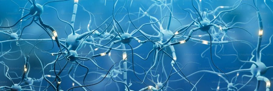 Como a psilocibina atua no cérebro: ciência atual, efeitos e pontos-chave essenciais