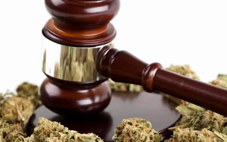 ¿Qué es un abogado especialista en cannabis?