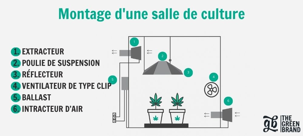 Schéma de ventilation dans une culture de cannabis en intérieur avec extracteur, aspirateur, ventilateur et luminaire, montrant le flux d'air pour contrôler la température et l'humidité.