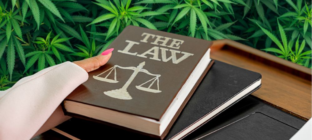 Libro di leggi su un tavolo accanto a foglie di cannabis, a illustrare la relazione tra legislazione, diritti e regolamentazione della cannabis in riferimento agli avvocati specializzati in cannabis
