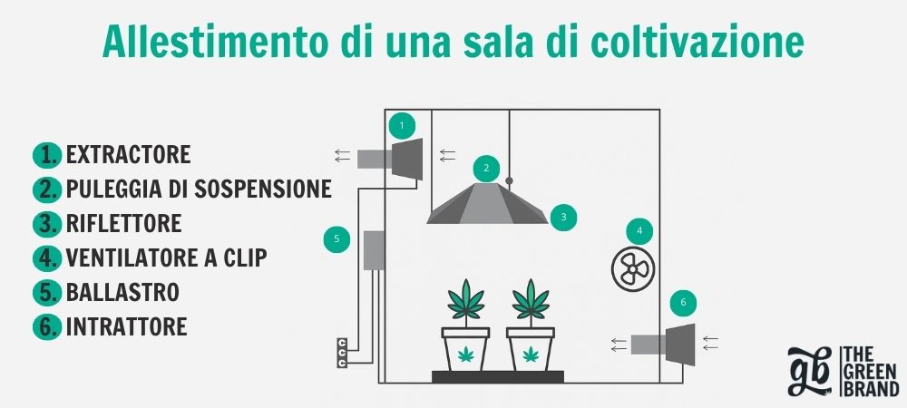 Schema di ventilazione in una coltivazione indoor di cannabis con estrattore, aspiratore, ventilatore e lampada, che mostra il flusso d'aria per controllare la temperatura e l'umidità.