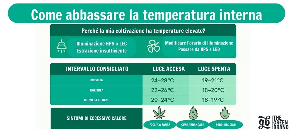 Infografica di GB The Green Brand con consigli per abbassare la temperatura in una coltivazione indoor, comprese le cause del calore, gli intervalli consigliati e i sintomi causati dall'eccesso di temperatura.