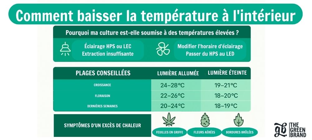  Infographie de GB The Green Brand avec des conseils pour baisser la température dans une culture en intérieur, y compris les causes de la chaleur, les plages recommandées et les symptômes liés à une température excessive.