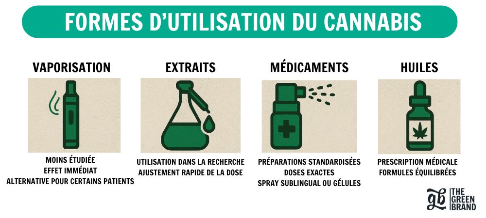Infographie sur les différents types d'utilisation du cannabis médical dans le traitement de la sclérose en plaques