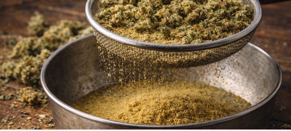 Tamizado en seco de cannabis mediante malla fina para la obtención de polen rubio
