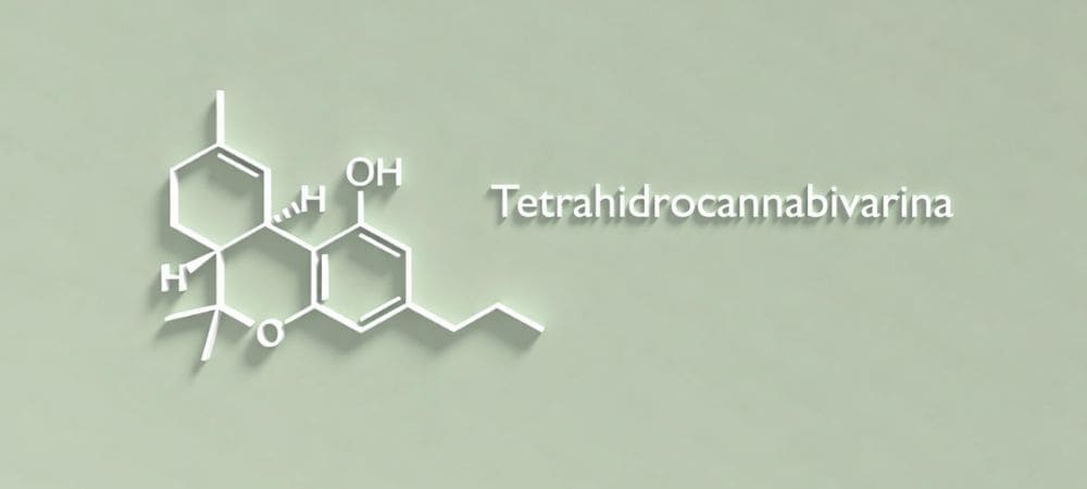 Estructura molecular de la tetrahidrocannabivarina (THCV) y su posible relación con la diabetes