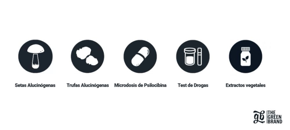 Categorías que puedes encontrar de modo fácil en la smartshop de GB The Green Brand
