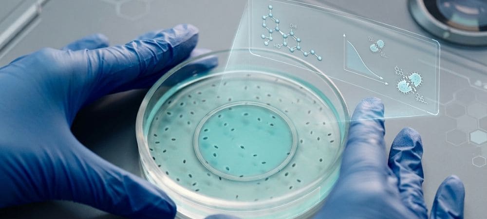 Estudio sobre CBD y antibióticos en cultivo bacteriano y análisis microbiológico