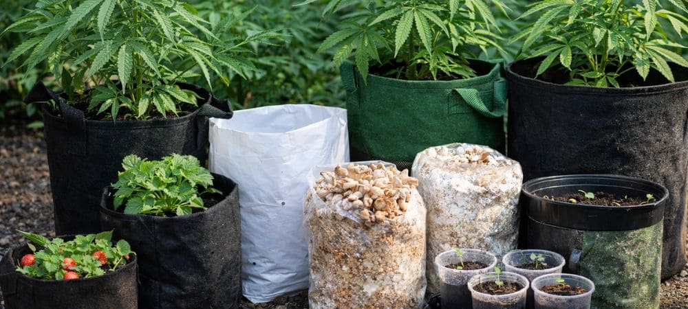 Grow bag para cultivo con plantas de cannabis, fresas y setas en diferentes bolsas de cultivo reutilizables