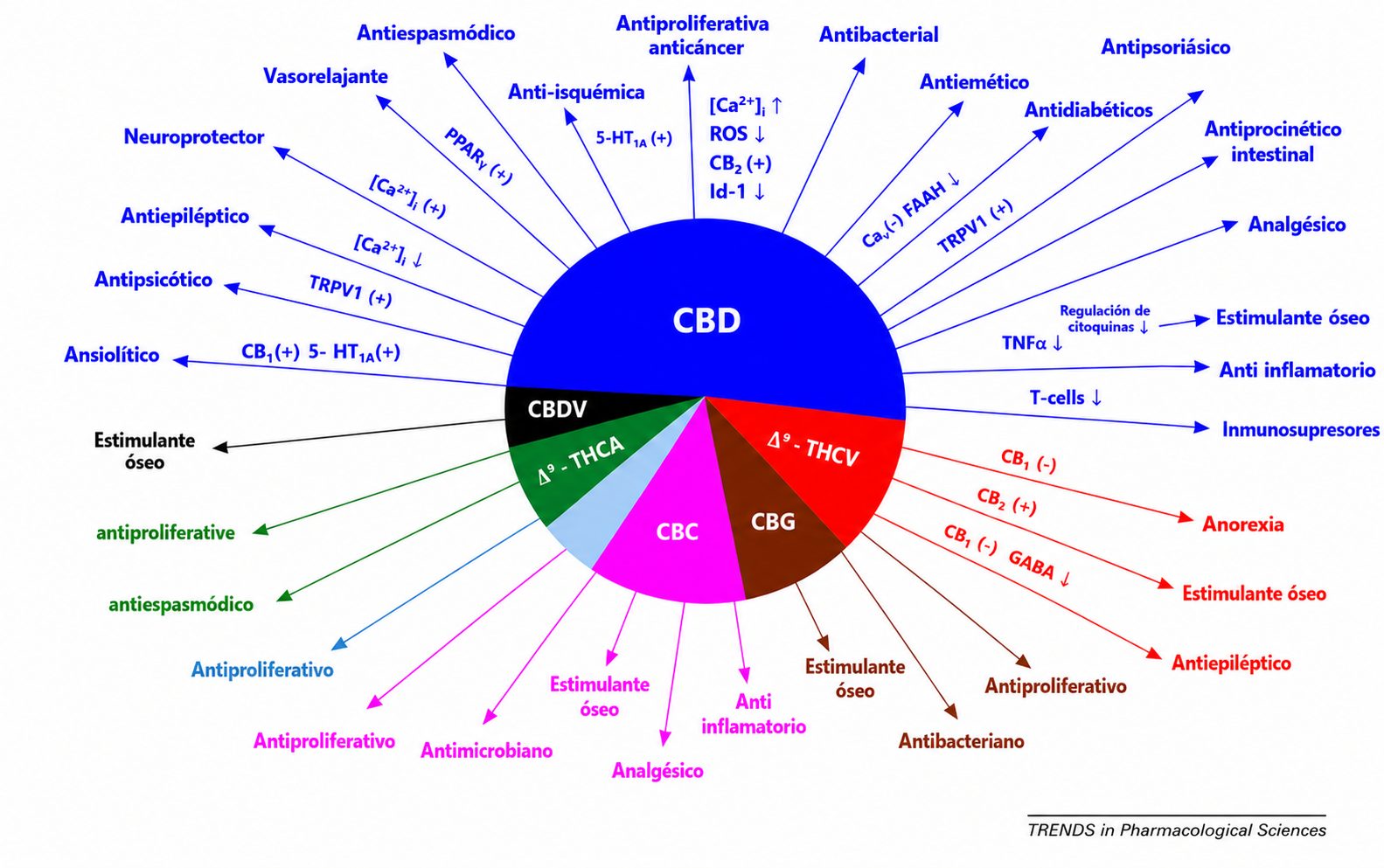 Marihuana medicinal Marihuana medicinal