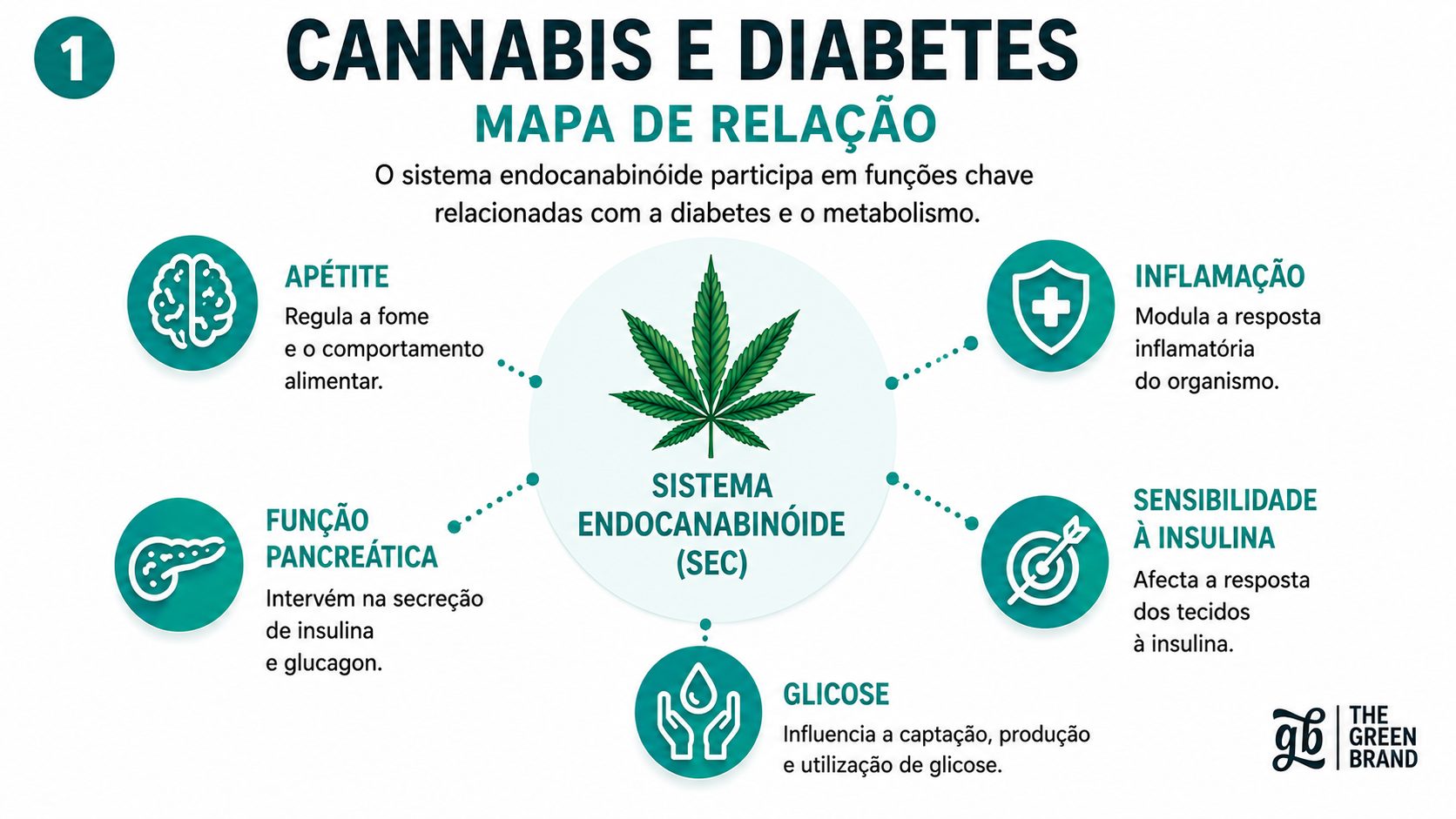 Mapa relacional entre a cannabis e a diabetes